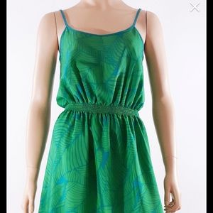 Anne Taylor loft dress